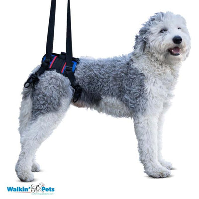 Walkin Pets Combo de arnés trasero Walkin' Lift con Tri-glide y anillos