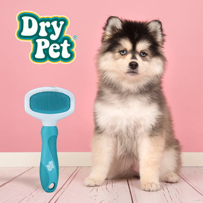 CARDA DESENREDANTE DRY PET