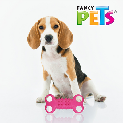 JUGUETE HUESO DE CAUCHO FANCY PETS