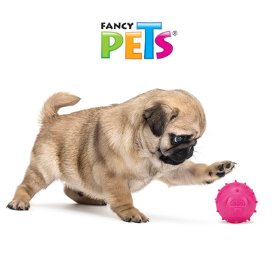 JUGUETE PELOTA DE CAUCHO DOGGY FANCY PETS