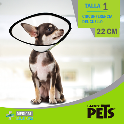 MS COLLAR ISABELINO TALLA 0 - 10 FANCY PETS