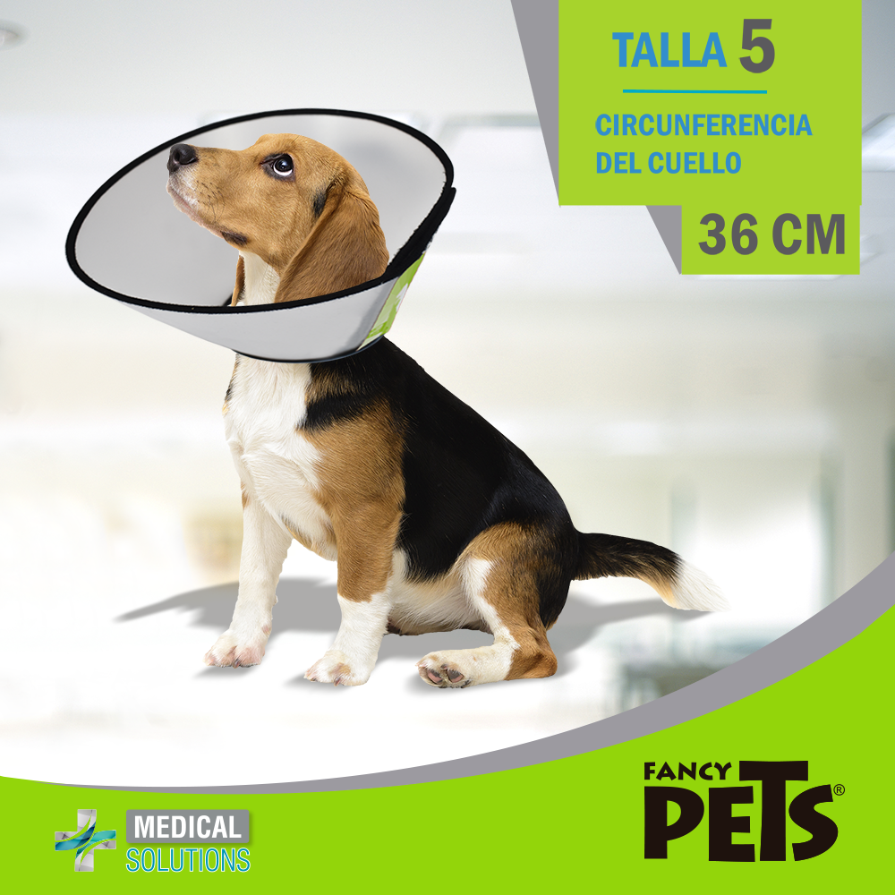 MS COLLAR ISABELINO TALLA 0 - 10 FANCY PETS