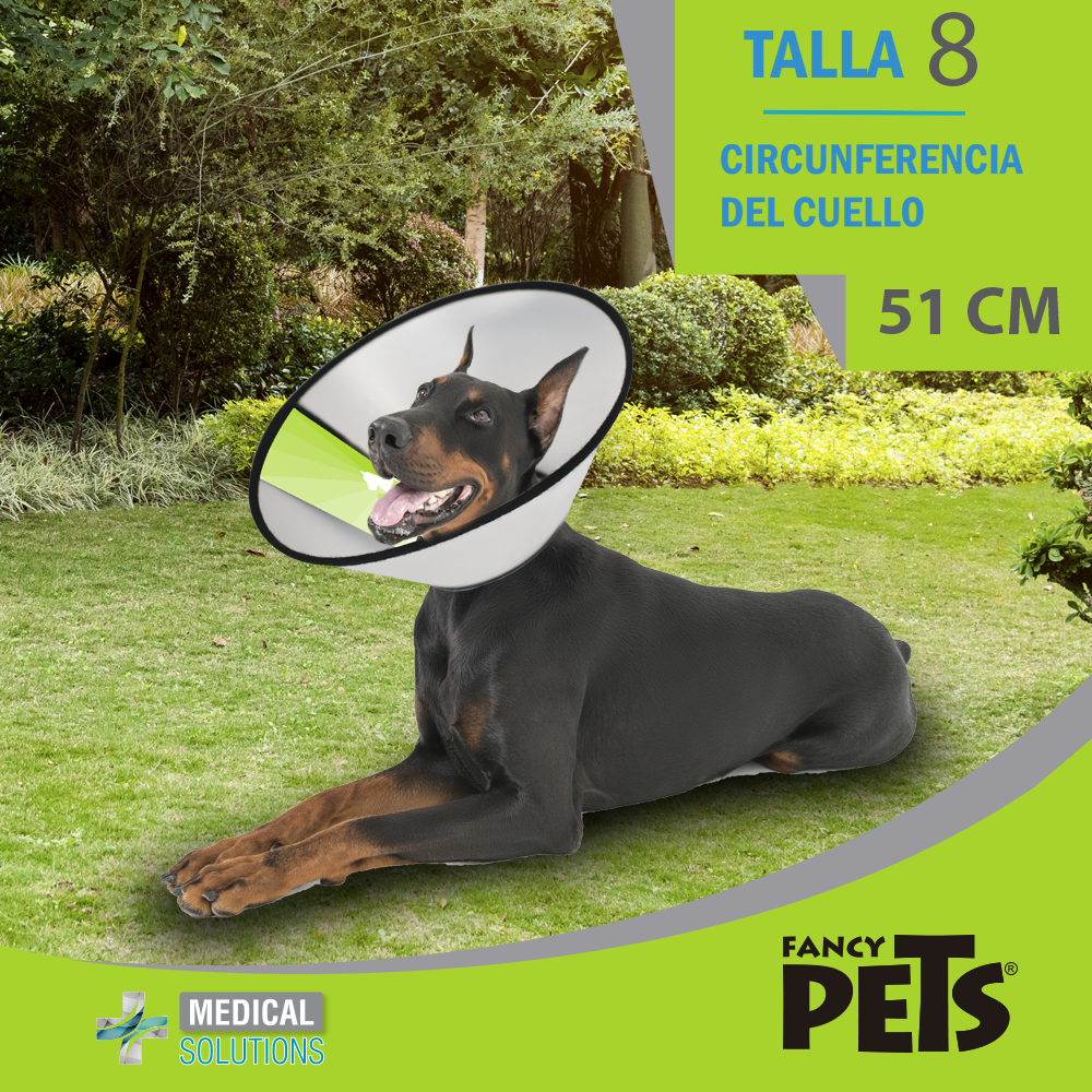 MS COLLAR ISABELINO TALLA 0 - 10 FANCY PETS