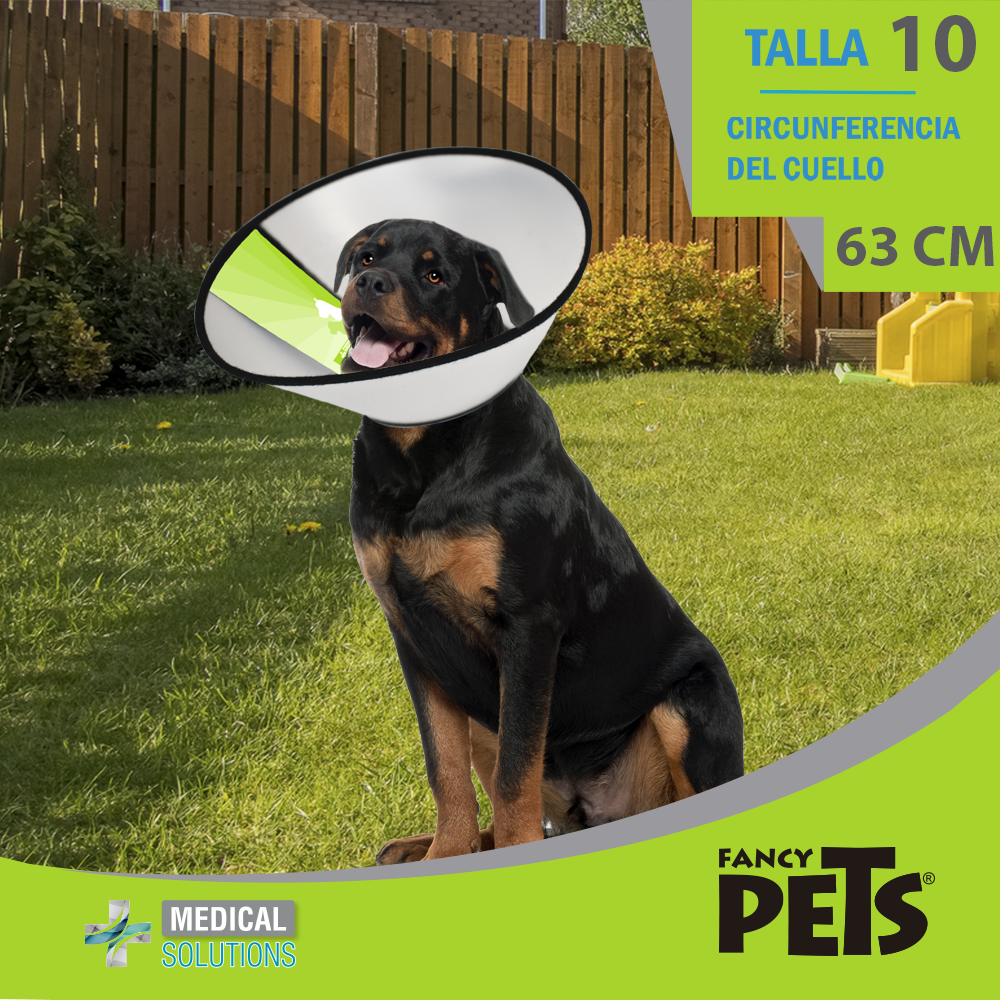 MS COLLAR ISABELINO TALLA 0 - 10 FANCY PETS