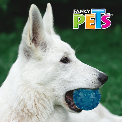 JUGUETE PELOTA FLEXIBLE C/SONIDO FANCY PETS