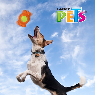 JUGUETE HUESO C/PELOTA DE TENIS FANCY PETS