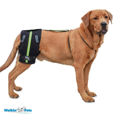 Walkin Pets Hip-EEZ Base-Sistema de Soporte para Articulación de Cadera