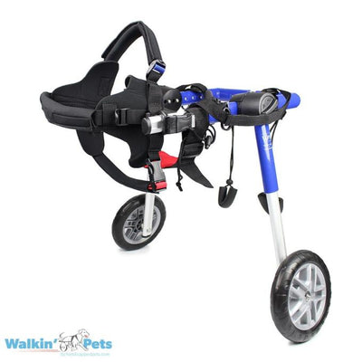 Walkin Pets Silla de Ruedas Azul Mediana con puntales y ruedas rellenas de espuma