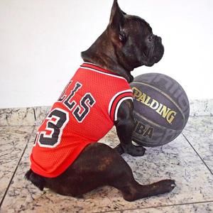 Paw Pets- Playera Jordan 23