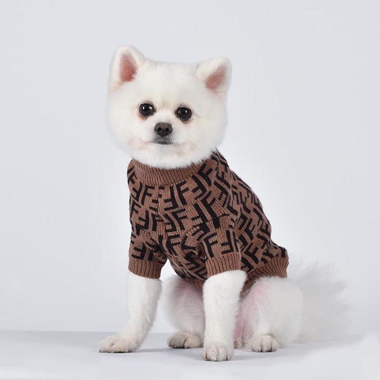 Yorkie Fendi Dog Sweater Warm Stylish Pick For The Winter