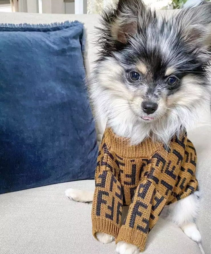 Fendi dog high quality jacket