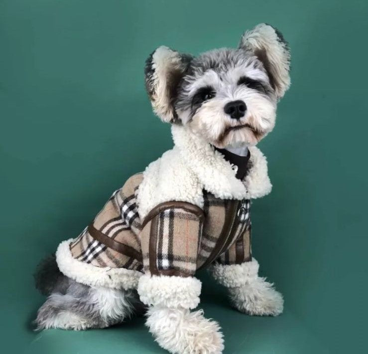 Ropa 2025 perro burberry