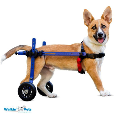 Walkin Pets Silla de Ruedas Perro Mini