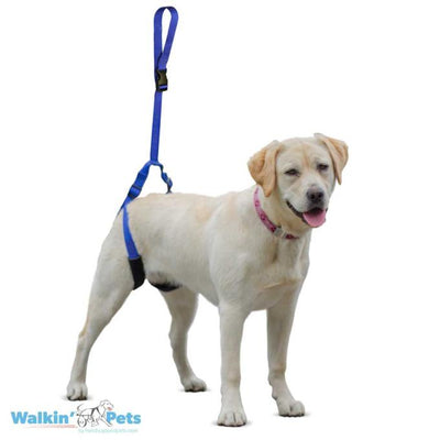 Walkin Pets Correa de soporte trasero Azul