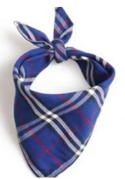 Paw Pets bandana Burberry