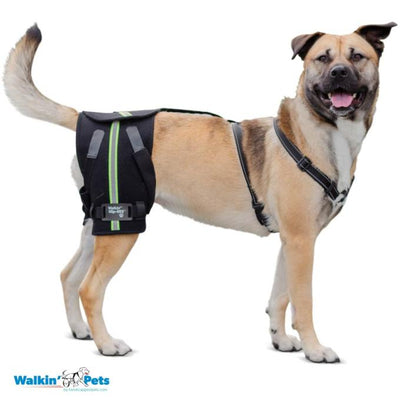 Walkin Pets Hip-EEZ Base-Sistema de Soporte para Articulación de Cadera