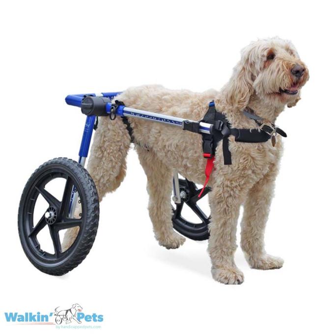 Walkin Pets Silla de Ruedas Azul Mediana/Grande con puntales y ruedas rellenas de espuma