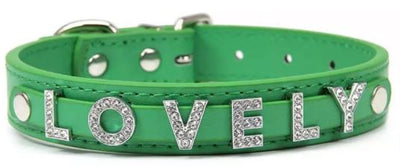 Paw Pets collar matte sin letras