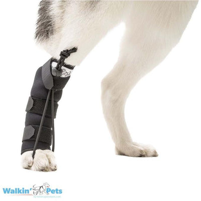 Walkin Pets Botas de entrenamiento para pisada No-Knucle