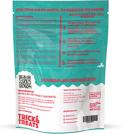 PASTO DE TRIGO GREEN MUNCHIES PARA GATOS - TRICK & TREATS