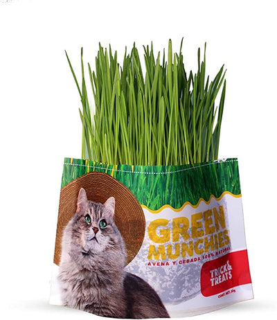 PASTO DE AVENA Y CEBADA GREEN MUNCHIES PARA GATOS - TRICK & TREATS