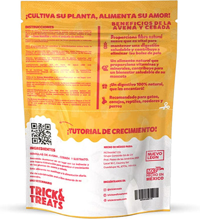 PASTO DE AVENA Y CEBADA GREEN MUNCHIES PARA GATOS - TRICK & TREATS