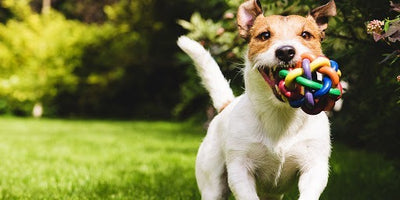 Pelota Anudada Colores con Cascabel