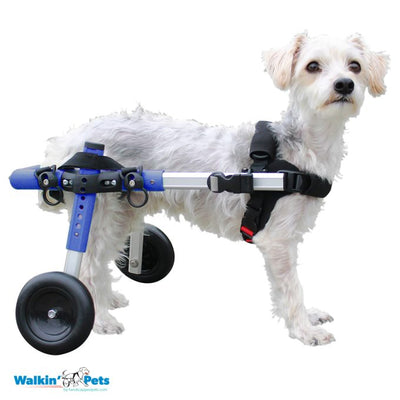 Walkin Pets Silla de Ruedas Azul Chica con puntales y ruedas rellenas de espuma