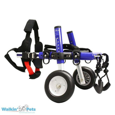 Walkin Pets Silla de Ruedas Azul Chica con puntales y ruedas rellenas de espuma